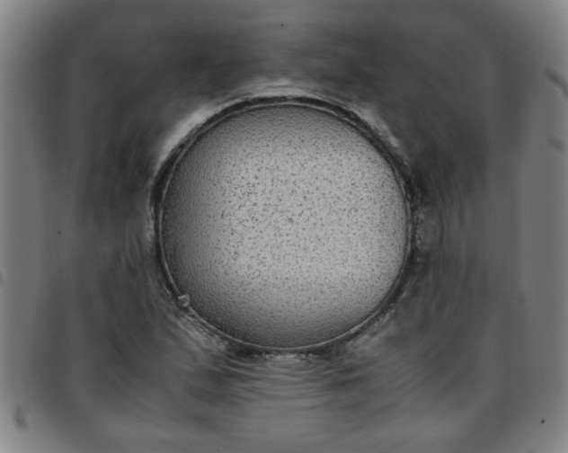 X0000097461167200803071624