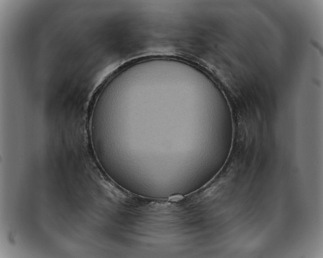 X0000097461168200803071624