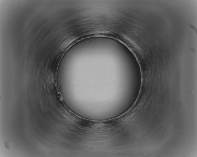 X0000097461169200803071624