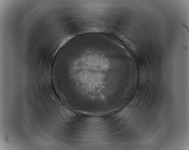 X0000097461170200803071624