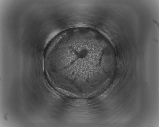 X0000097461171200803071624