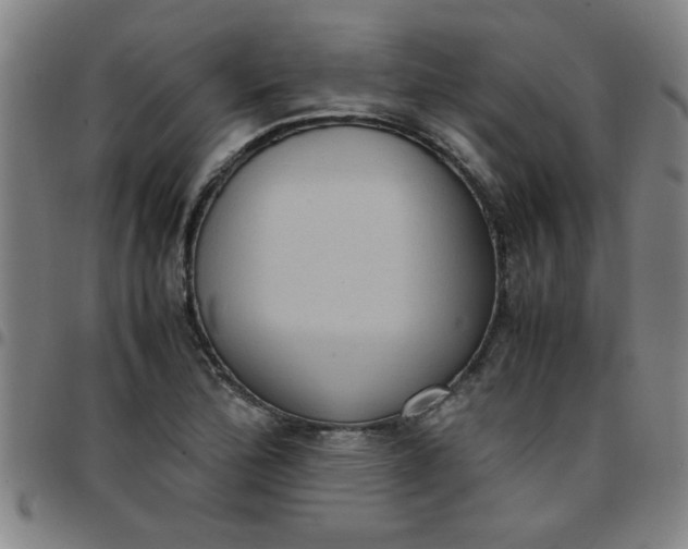 X0000097461172200803071624