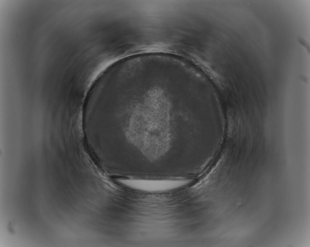 X0000097461174200803071624