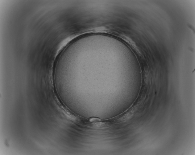 X0000097461176200803071624