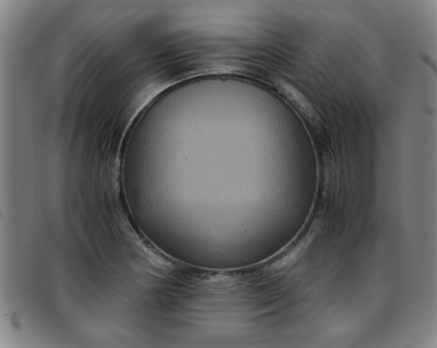 X0000097461178200803071624