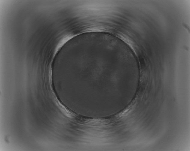 X0000097461179200803071624