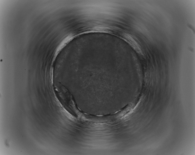 X0000097461180200803071624