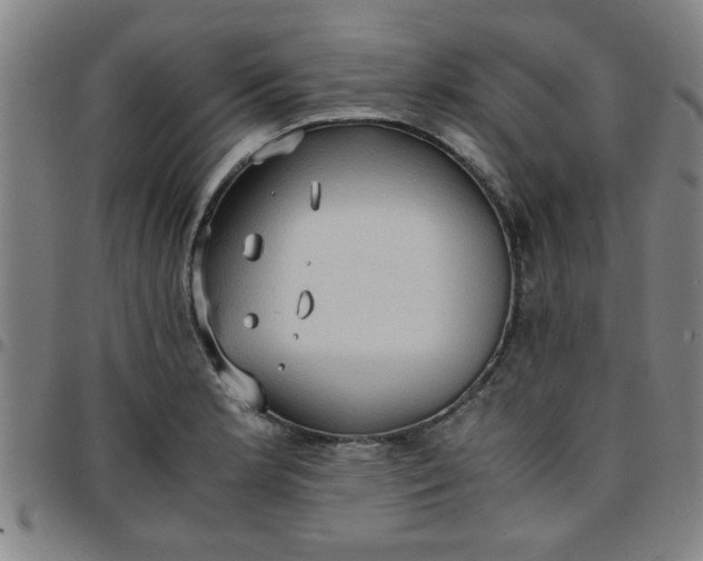 X0000097461181200803071624