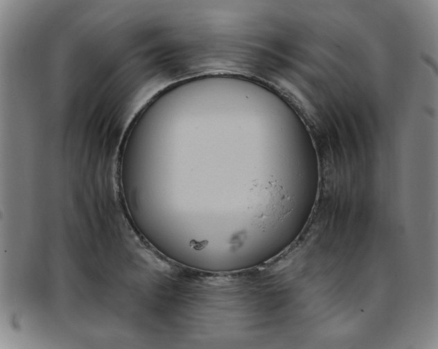 X0000097461182200803071624