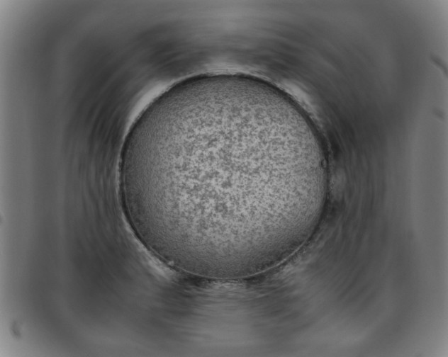 X0000097461183200803071624