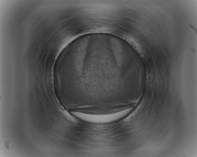 X0000097461184200803071624