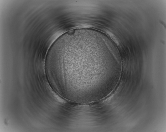 X0000097461186200803071624