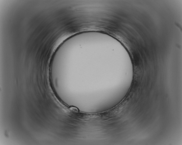 X0000097461187200803071624