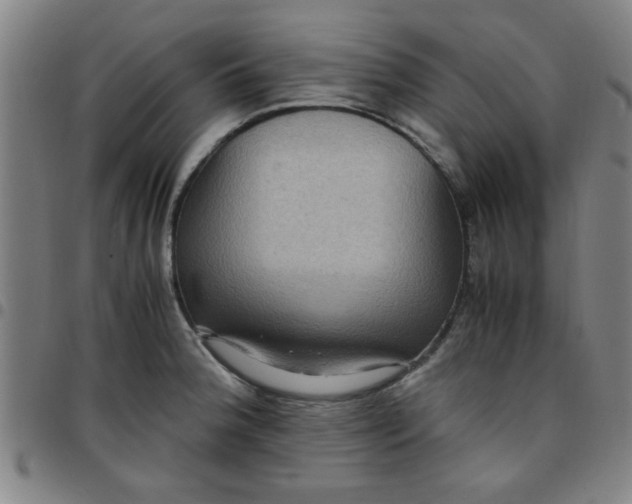 X0000097461188200803071624