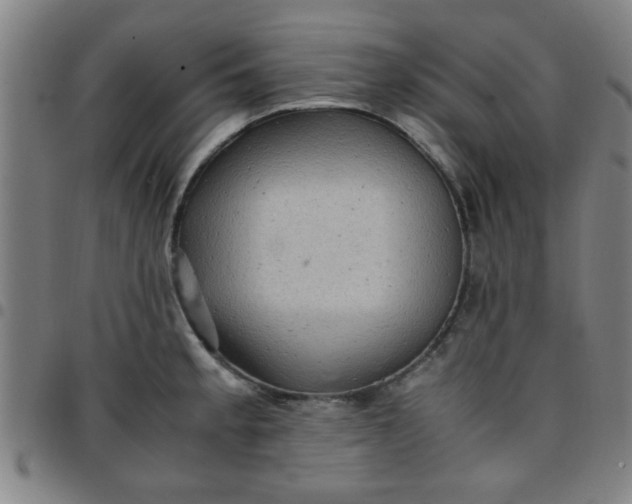 X0000097461189200803071624