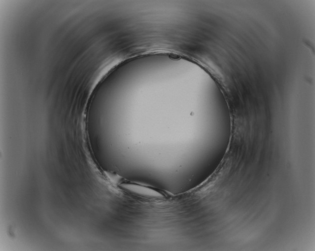 X0000097461190200803071624