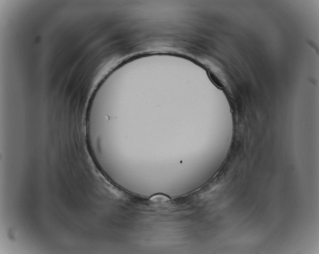 X0000097461191200803071624