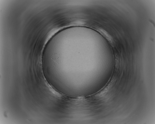 X0000097461192200803071624