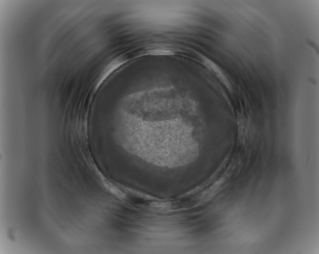 X0000097461194200803071624