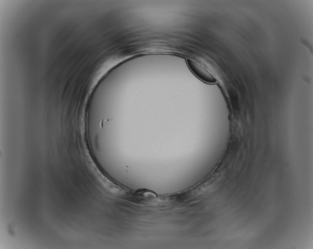 X0000097461195200803071624