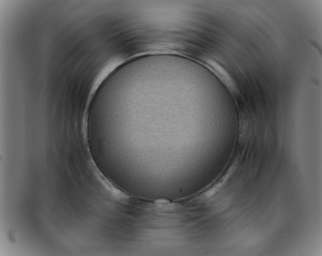 X0000097461196200803071624