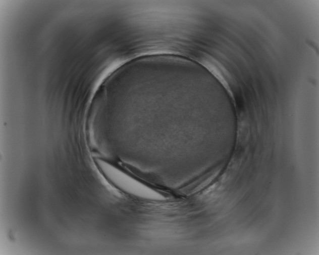 X0000097461197200803071624