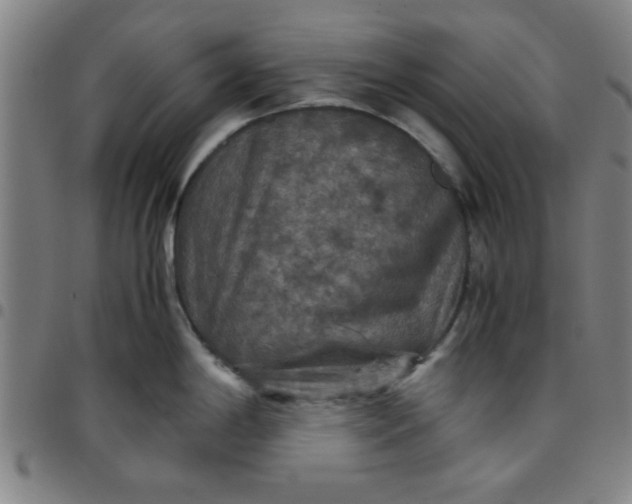 X0000097461198200803071624