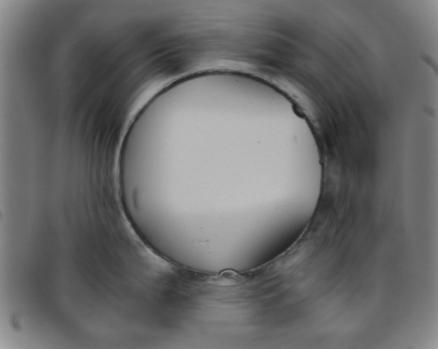 X0000097461199200803071624