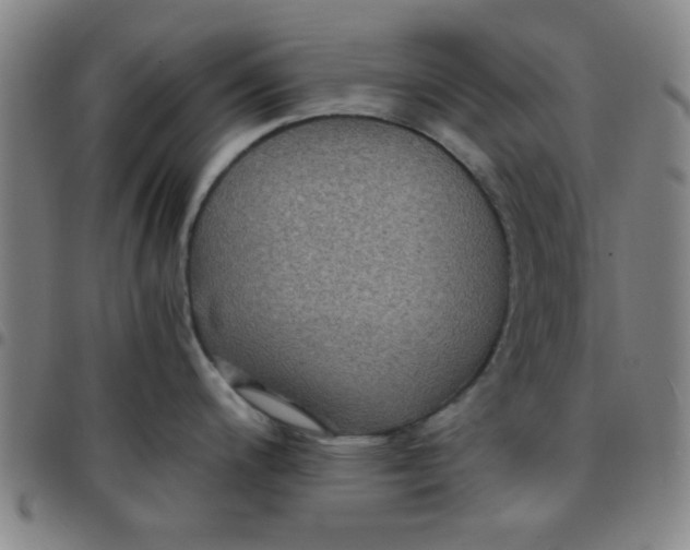 X0000097461200200803071624