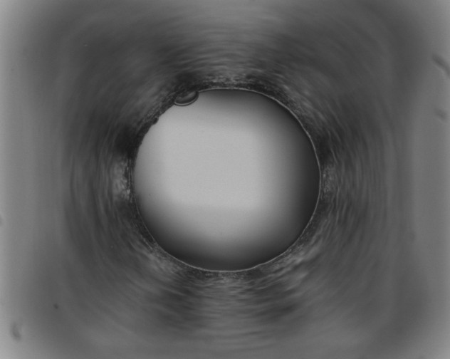 X0000097461202200803071623