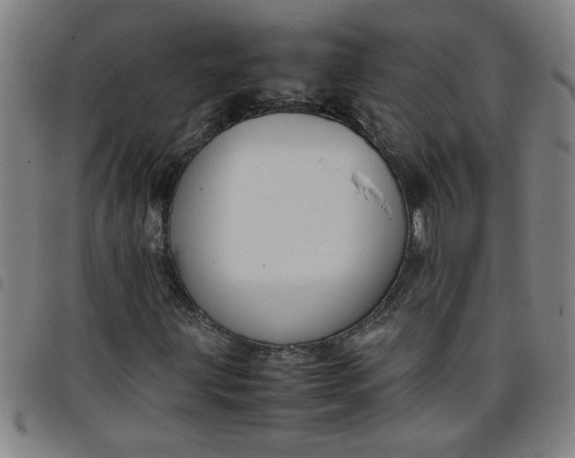 X0000097461203200803071623