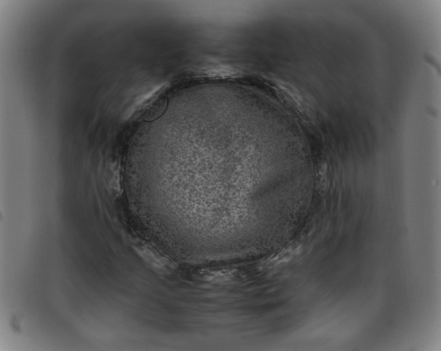 X0000097461205200803071623