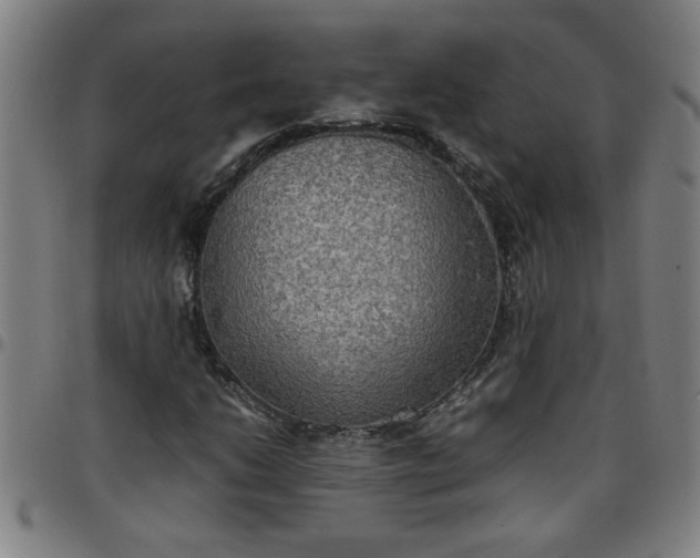 X0000097461206200803071623