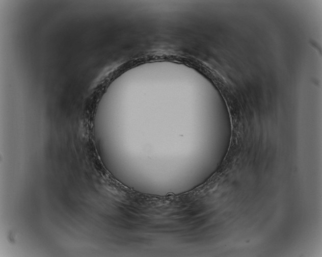 X0000097461207200803071623