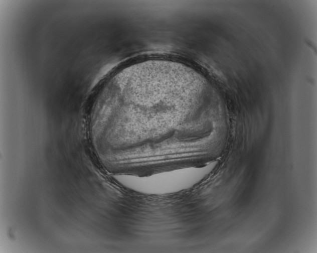 X0000097461208200803071623