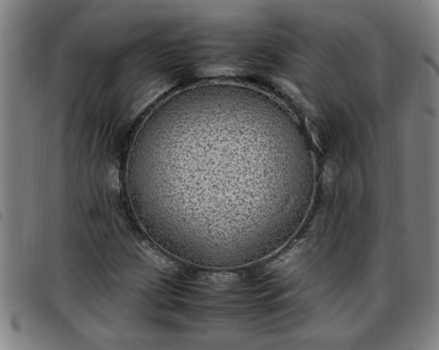 X0000097461209200803071623