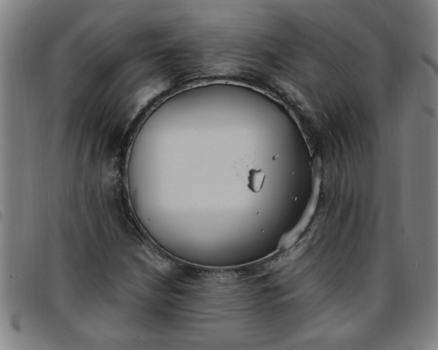 X0000097461210200803071623