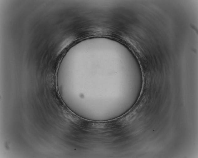 X0000097461211200803071623