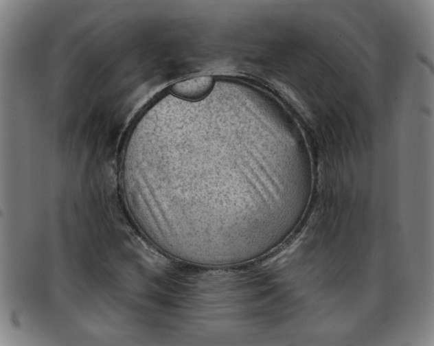 X0000097461212200803071623