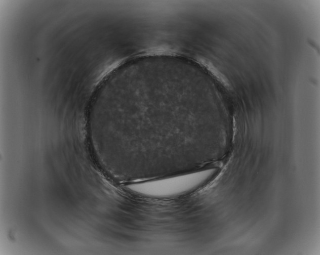 X0000097461213200803071623