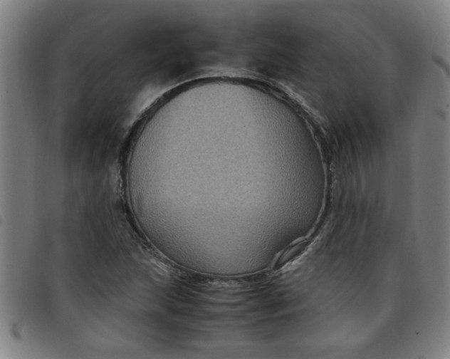 X0000097461215200803071623