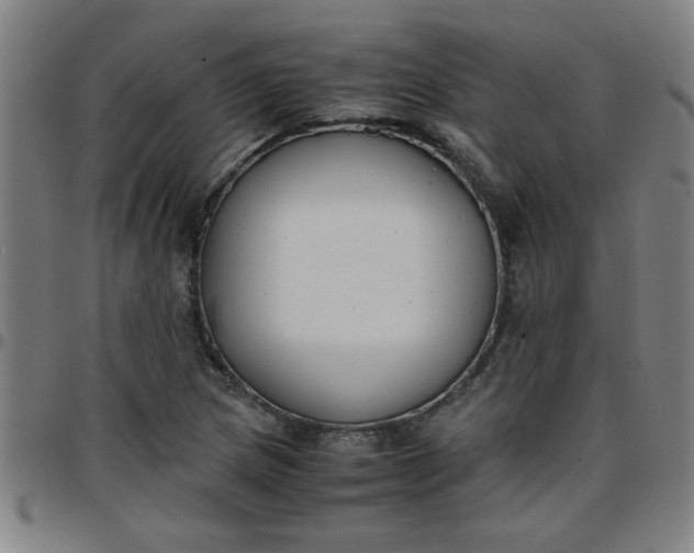 X0000097461217200803071624