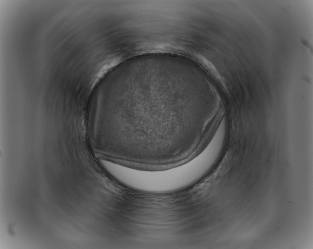 X0000097461218200803071624