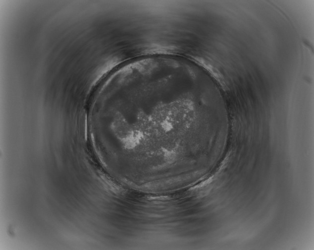 X0000097461219200803071624