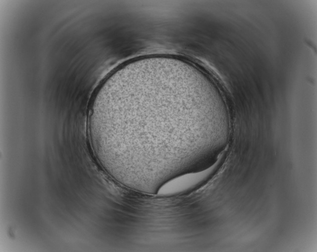 X0000097461220200803071624