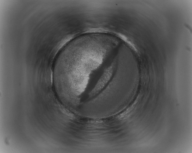 X0000097461221200803071624