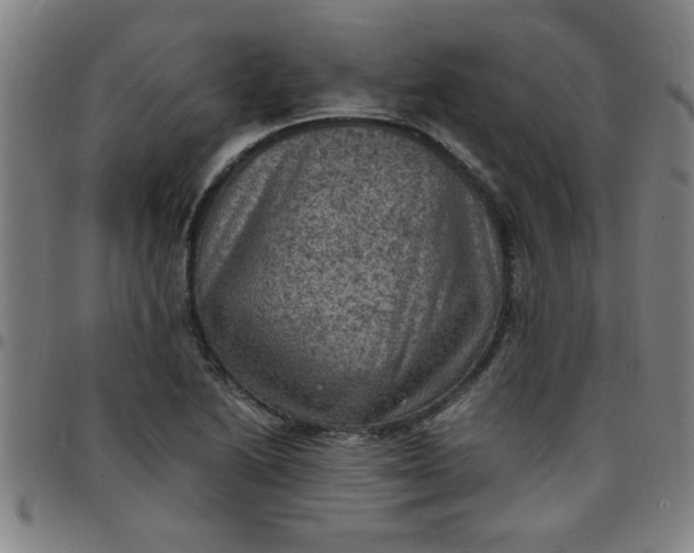 X0000097461222200803071624