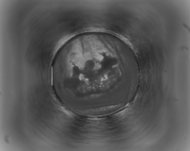 X0000097461223200803071624