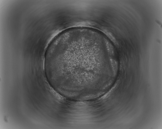 X0000097461224200803071624