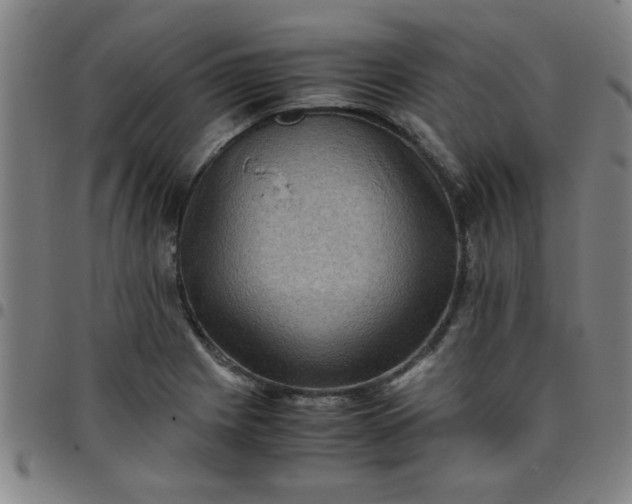 X0000097461225200803071624